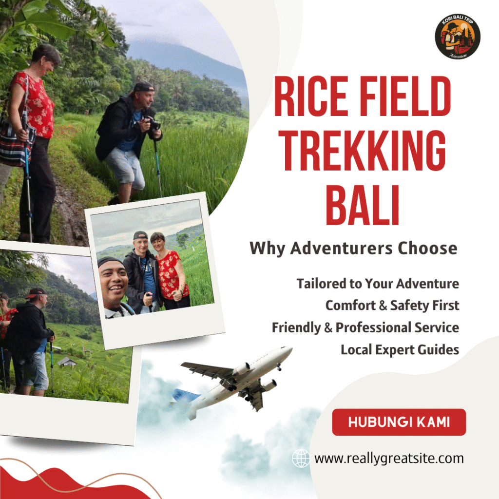 Rice Field Trekking Bali